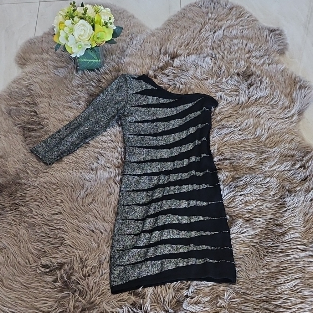 Elegant Black and Silver Women's Dress